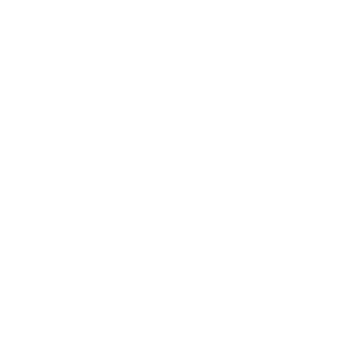 SYNN