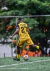 Cleiton Alves - comprar online