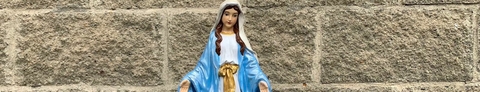 Banner de la categoría ADVOCACIONES