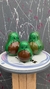 FAMILIA AGUACATE