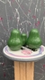 FAMILIA AGUACATE en internet