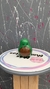 AGUACATE MINI