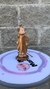 VIRGEN DEL CARMEN en internet