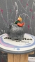PRINCIPITO - comprar online
