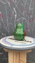 AGUACATE - tienda online