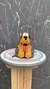 PLUTO