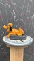PLUTO en internet
