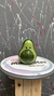 AGUACATE A
