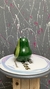 AGUACATE A - Mas Marranitos