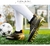 Imagem do Homens sapatos de futebol profissional unisex tornozelo botas de futebol chuteir