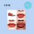 Lip Tint DIOR ADDICT (mini) 2,5ml - cor 541 Natural Sienna - comprar online