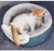 Cama Toca 2 em 1 - Hoopet - A Loja do Gato