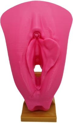 Vulva 3d com clitóris - LÁBIOS ASSIMÉTRICOS - comprar online