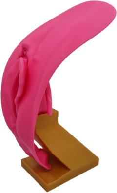 Vulva 3d com clitóris - LÁBIOS ASSIMÉTRICOS - Clitstore