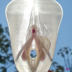 Vulva 3d com clitóris - LÁBIOS ASSIMÉTRICOS - loja online