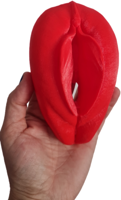 Vulva 3d Anturita en internet