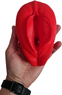 Vulva 3d Anturita - comprar online