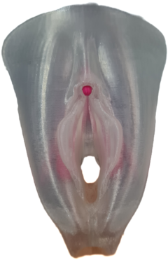 Vulva Dourada com Clitóris 3D Lábios Simétricos - loja online