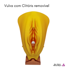 Vulva Dourada com Clitóris 3D Lábios Simétricos