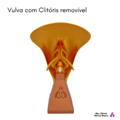 Vulva Dourada com Clitóris 3D Lábios Simétricos - comprar online