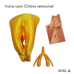 Vulva Dourada com Clitóris 3D Lábios Simétricos na internet