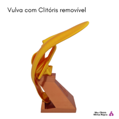 Vulva with Golden 3D Clitoris - Clitstore