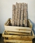 Imagen de Moss Pole / Tutor de Musgo