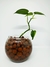 Leca / Arlita / Arcilla Expandida - comprar online