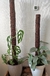 Coco Pole / Tutor de Coco Chips