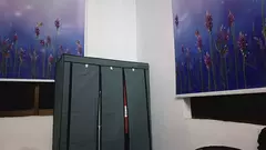 Dobrável haste dupla guarda-roupa quarto roupas armário mais organizador na internet