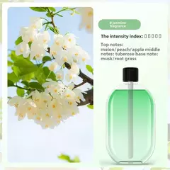 Difusor de aromaterapia inteligente, spray automático, ambientador, casa, quart - Show Drop