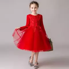 Meninas jovens casamento princesa elegante festa formal outono natal aniversári