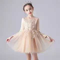 Meninas jovens casamento princesa elegante festa formal outono natal aniversári na internet