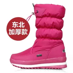 Botas de neve femininas de pelúcia à prova de água plataforma alta botas muito confortaveis na internet