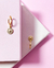 Brinco Argola Click Rosa dos Ventos | Banhado a Ouro - comprar online