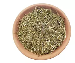 Yuyo Artemisa x 50g