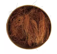 Yuyo Barba de Choclo x 50g