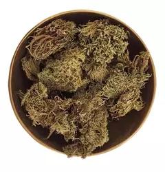 Yuyo Yerba de la Piedra x 50g