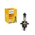 Lampada Philips Halogena H4 12v 60 55w - comprar online