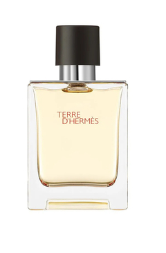 TERRE D'HERMÉS EDT ( 100 ML) Regular