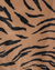 Maiô infantil animal print Carter’s - comprar online