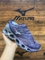 Mizuno prophecy 8