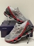 Mizuno prophecy 8