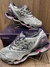 Mizuno prophecy 8