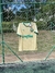 Camisa Palmeiras III 24/25 sn° Torcedor Puma Masculina - - loja online