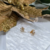 Brinco Flor 10mm Zircônia Cristal Banho Ouro na internet