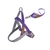Conjunto de Guia e Peitoral para Cachorro em H | Roxo | G