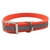Conjunto de Guia e Coleira em PVC - Reflexivo 3M - comprar online