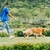 Guia Retrátil Premium para Cachorros | Até 150kg de Tração - Universo The Dog | Frete Grátis para todo o Brasil