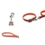 Conjunto de Guia e Coleira em PVC - Reflexivo 3M - comprar online